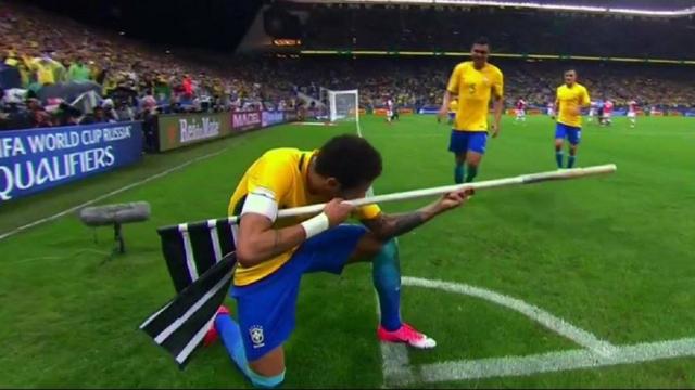 久久蝌蚪