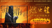 在线看一区二区