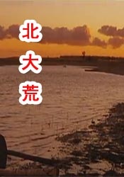 精品国产福利在线