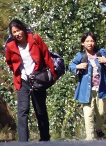 免费v片观看