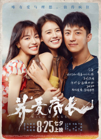中文字幕专区高清在线观看