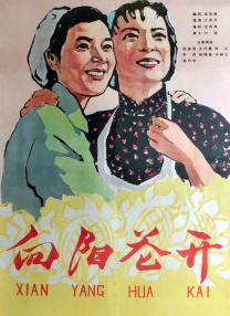 爱爱片