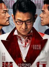 五月婷婷综合激情网
