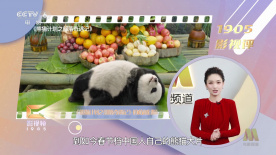 国产网红在线观看